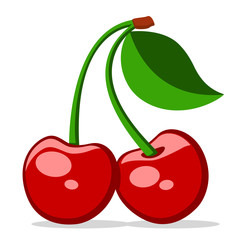 Two red ripe cherries with a leaf on a white.