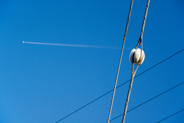 Obraz premium Blue sky and contrail / 青空と飛行機雲