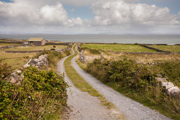 Fototapeta na wymiar Inishmore island, County Galway, Ireland