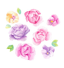 watercolor set of flowers of pink, purple and yellow. Roses, leaves, pansies, peonies