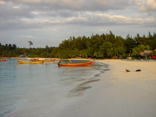 Fototapeta premium Morning Long Tail Boats for Transportation Travel Tourist Diving Around Vacations in Tropical of Asian Summer or Spring Holidays at Thailand.