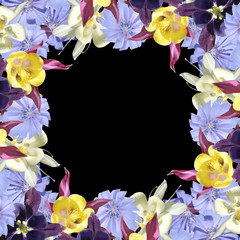 Beautiful floral background of aquilegia and chicory. Isolated