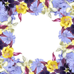 Fototapeta premium Beautiful floral background of aquilegia and chicory. Isolated