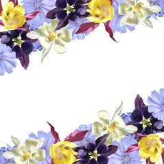 Beautiful floral background of aquilegia and chicory. Isolated