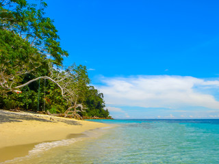Fototapeta na wymiar Beautiful Beach Sandy and Clear Sea with Tree and Swing Play in Island of Tropical on Holiday Summer or Spring Times. Travel The Paradise of Thailand.