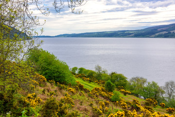 Coastline of the Loch Ness River in Scotland
