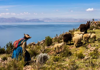 Foto op Canvas shepherdess with a small herd of sheep and a donkey on the shores of lake titicaca © Stefan