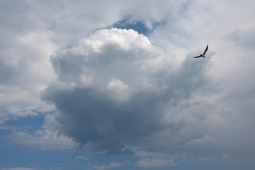 clouds in the sky