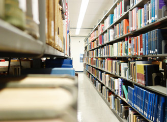 Library books on shelves