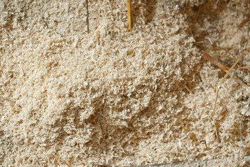 Waste wood at the factory. Thistle texture. Remains of wood after processing boards in a furniture factory.