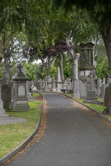 Glasnevin Cementery - Captured at Glasnevin, Dublin 11, Ireland on 23 Jun, 2019