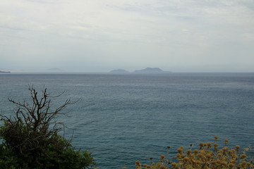 View around River and palm forest at Preveli, southern Crete , Greece