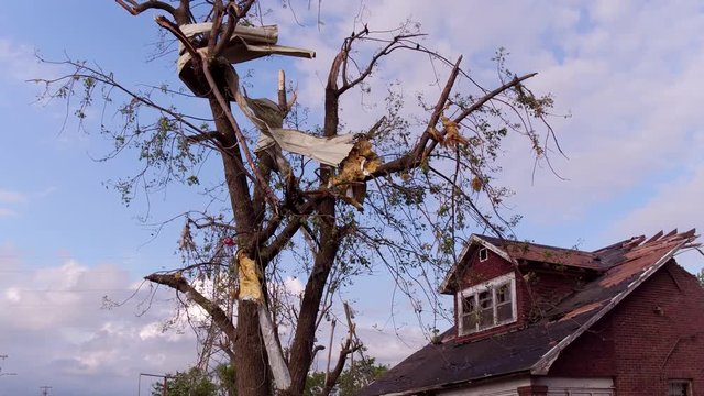 DAYTON, OHIO - MAY 29 : Sheet metal from debris in large tree after tornado Dayton, Ohio on May 29, 2019.