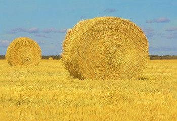Fototapeta premium Haystack rolls in Manitoba