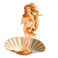 Deurstickers Interpretatie van Venus, door Sandro Botticelli. © ddraw