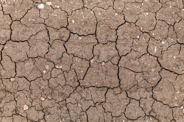 Top View Dry Cracked Soil Texture