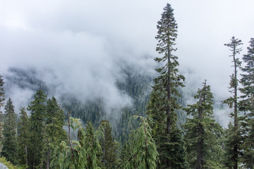 Rainier national park