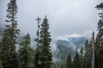 Rainier national park