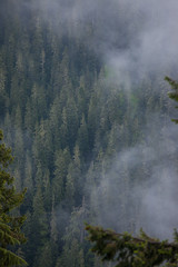 Rainier national park