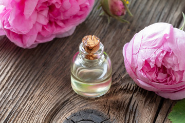 Fototapeta na wymiar A bottle of rose essential oil with cabbage rose flowers