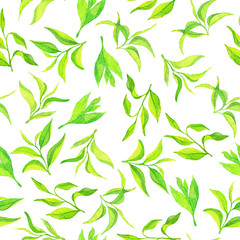 Obraz premium Seamless pattern with fresh green tea leaves on white background. Hand drawn watercolor illustration.