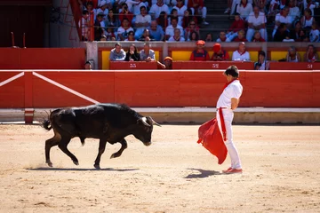 Wandcirkels aluminium Young bullfighter in Pamplona bullring, Spain © Noradoa