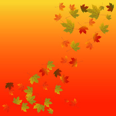 Fallen autumn leaves on orange background