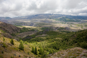 Fototapeta premium Mt St. Helens
