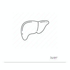 Liver icon isolated. Single thin line symbol of human liver. Human body anatomy outline pictogram