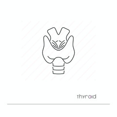 Thyroid icon isolated. Single thin line symbol of thyroid. Human body anatomy outline pictogram