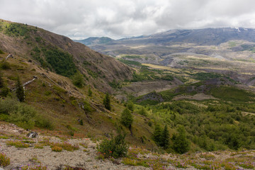 Naklejka premium Mt St. Helens