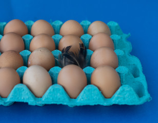 Fresh brown chicken eggs in a protective blue box, chicken feather on top of the egg. Local organic products.