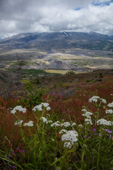 Fototapeta premium Mt St. Helens