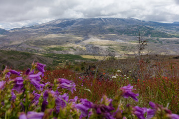 Fototapeta na wymiar Mt St. Helens