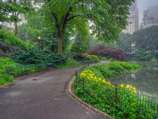 Central Park