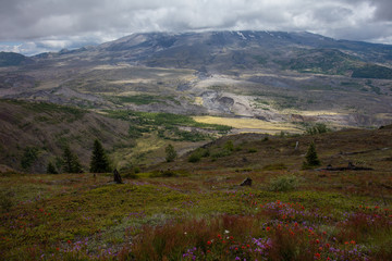 Mt St. Helens