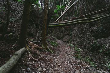Rough mountain road