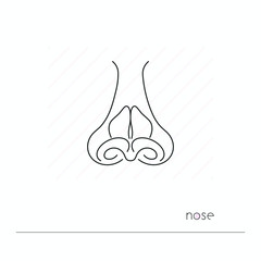 Nose icon isolated. Single thin line symbol of nose. Human body anatomy outline pictogram
