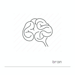 Brain icon isolated. Single thin line symbol of human brain. Human body anatomy outline pictogram