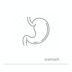 Stomach icon isolated. Single thin line symbol of digestive system. Human body anatomy outline pictogram