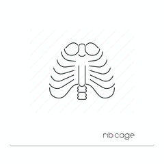 Rib cage icon isolated. Single thin line symbol of ribs. Human body anatomy outline pictogram