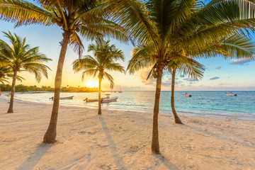 Akumal bay - Caribbean white beach in Riviera Maya, coast of Yucatan and Quintana Roo, Mexico - obrazy, fototapety, plakaty