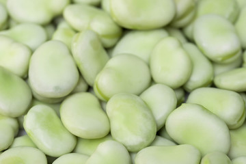 vicia faba beans closeup