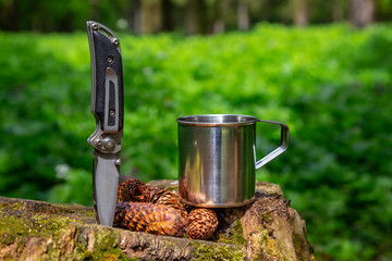 Tourist steel cup and knife in the summer forest