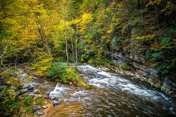 Naklejka na ściany i meble picturesque scenery from virginia creeper trail in autumn