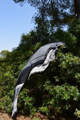 Pa&ntilde;o perdido en los arbustos