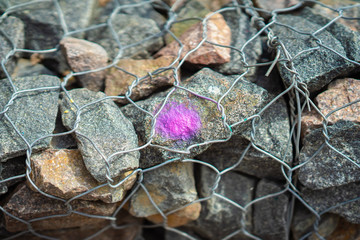 Stones in Metal mesh netting, wire. Purple spot as design. Modern background