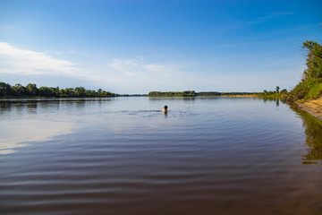 Obraz premium A person leads a healthy lifestyle and swims in the river