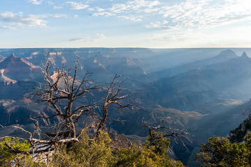 The rising sun over the grand canyon near Yavapai Point, on the southern Rim.