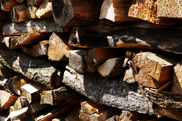 A stack of firewood of different species of trees close up